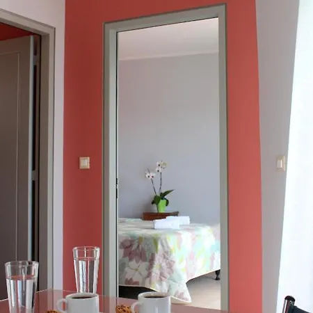 Amaryllis 3*